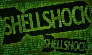 Shellshock Activity Still Tracked