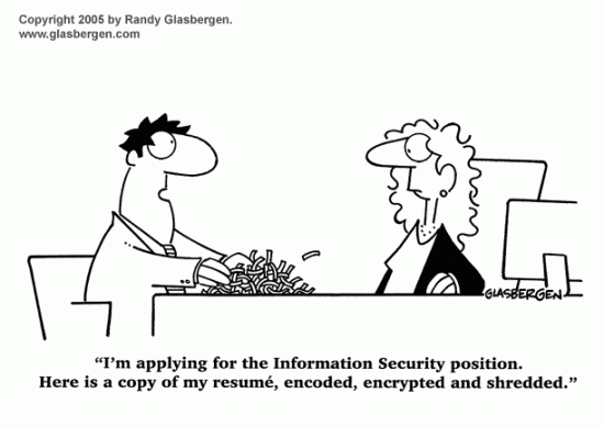 a layman-friendly cartoon about applying for the infosec position.